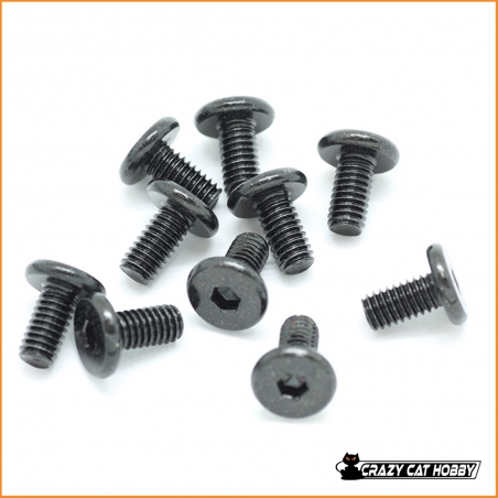 SW105007A VITE A TESTA PIATTA M4X8 mm PER FISSAGGIO MOTORE SWORKZ - 4717760128320